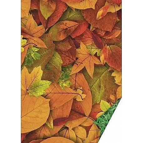 Carton decor/ imagini